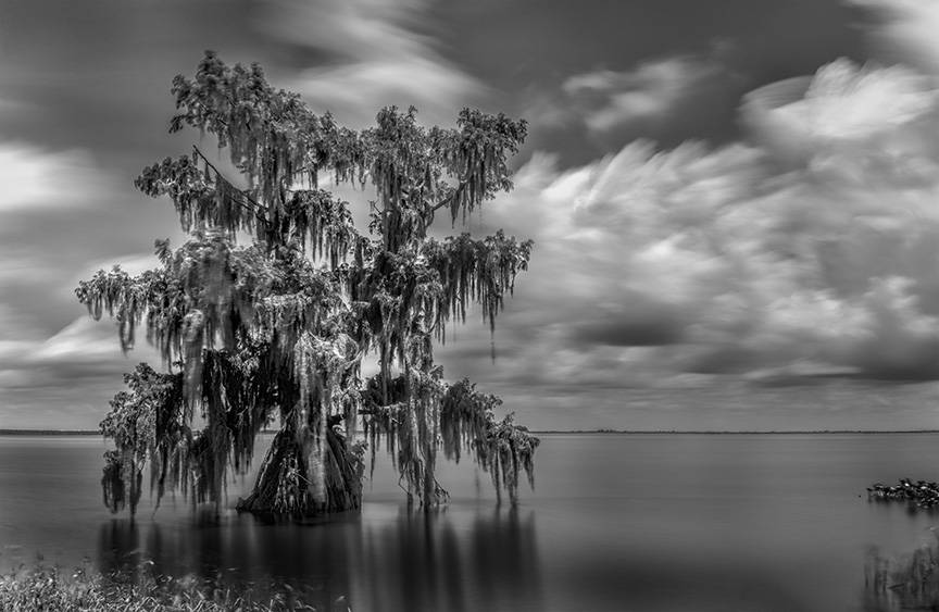 Sensual long exposure fine art photograghy of Old Florida by Virginia ...